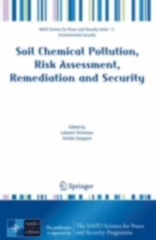 Soil Chemical Pollution, Risk Assessment, Remediation and Security