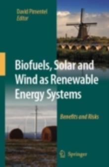 Biofuels, Solar and Wind as Renewable Energy Systems : Benefits and Risks