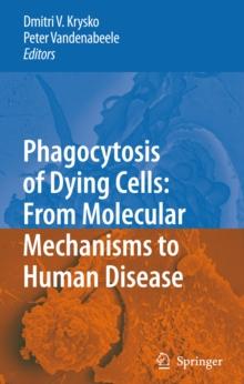 Phagocytosis of Dying Cells : From Molecular Mechanisms to Human Diseases