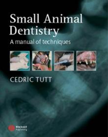 Small Animal Dentistry : A Manual of Techniques