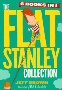 The Flat Stanley Collection