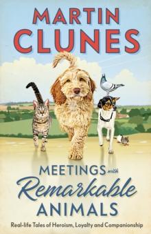 Meetings With Remarkable Animals : From the familiar and much-loved face on our television screens since the 1990s