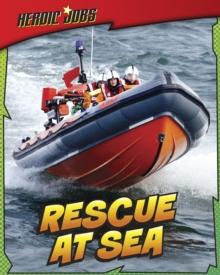 Rescue at Sea