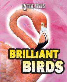 Brilliant Birds