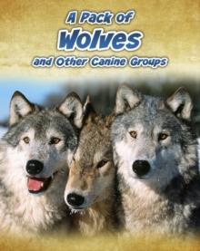 A Pack of Wolves : and Other Canine Groups