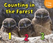 Counting in the Forest