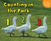 Counting at the Park