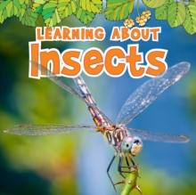 Learning About Insects