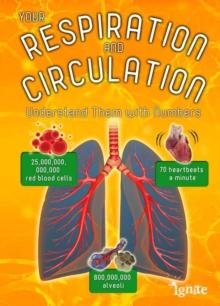 Your Respiration and Circulation : Understand it with Numbers