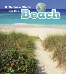 A Nature Walk on the Beach