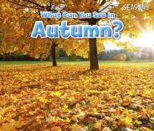 What Can You See In Autumn?