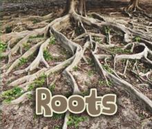 All About Roots