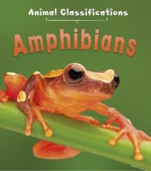 Amphibians