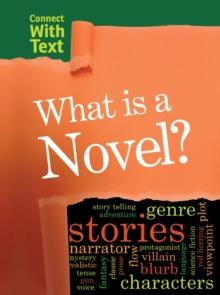 What is a Novel?