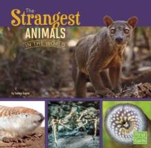 The Strangest Animals in the World