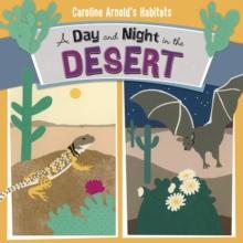 A Day and Night in the Sonoran Desert