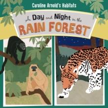 A Day and Night in the Amazon Rainforest