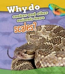 Why Do Snakes and Other Animals Have Scales?