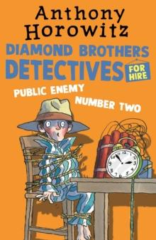 The Diamond Brothers In Public Enemy Number Two