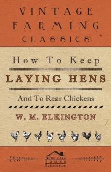 How to Keep Laying Hens and to Rear Chickens