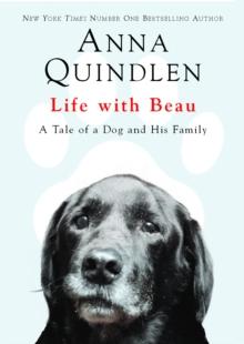 Life with Beau : A Tale of a Dog and His Family