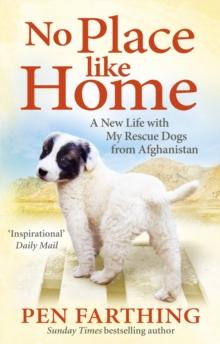 No Place Like Home : A New Beginning with the Dogs of Afghanistan