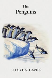 Penguins