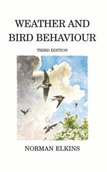 Weather and Bird Behaviour