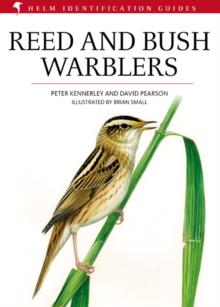 Reed and Bush Warblers