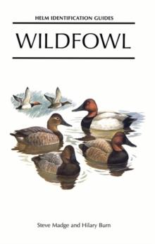 Wildfowl : An Identification Guide to the Ducks, Geese and Swans of the World