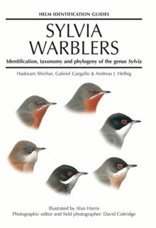 Sylvia Warblers : Identification, taxonomy and phylogeny of the genus Sylvia