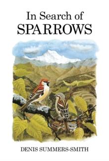 In Search of Sparrows