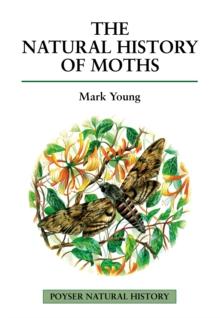 The Natural History of Moths