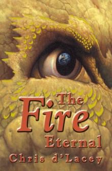 The Fire Eternal : Book 4