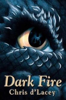 Dark Fire : Book 5