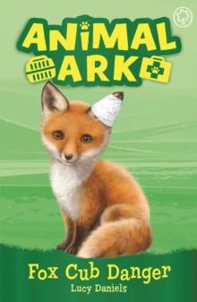 Fox Cub Danger : Book 3