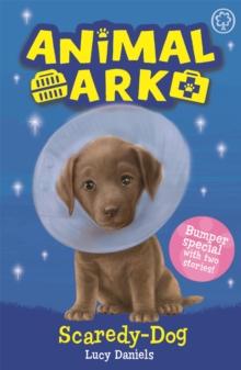 Animal Ark, New 2: Scaredy-Dog : Special 2