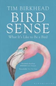 Bird Sense : What It's Like to Be a Bird