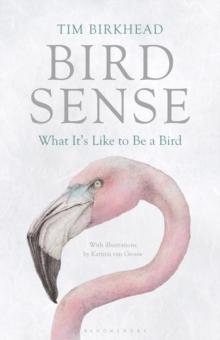 Bird Sense : What it's Like to be a Bird