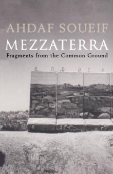 Mezzaterra : Fragments from the Common Ground