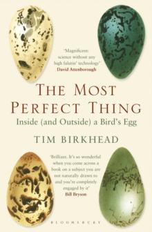 The Most Perfect Thing : Inside (and Outside) a Birds Egg