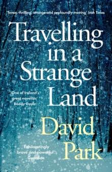 Travelling in a Strange Land : Winner of the Kerry Group Irish Novel of the Year