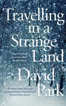 Travelling in a Strange Land : Winner of the Kerry Group Irish Novel of the Year