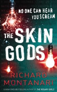 The Skin Gods : (Byrne & Balzano 2)