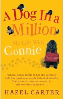 A Dog in a Million : My Life with Connie