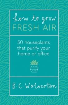 How To Grow Fresh Air : 50 Houseplants To Purify Your Home Or Office