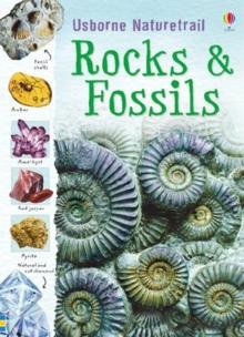 Rocks And Fossils