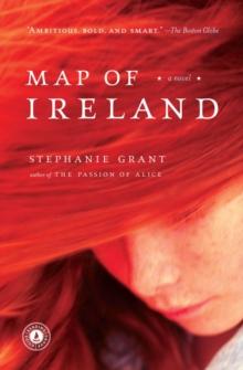 Map of Ireland : A Novel