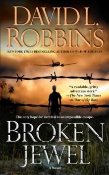 Broken Jewel : A Novel