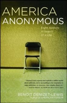 America Anonymous : Eight Addicts in Search of a Life